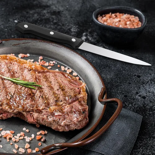 Vista 6 de Lasnten Juego de 100 cuchillos de carne de acero inoxidable de 8.78 pulgadas, punta puntiaguda, mango de plástico, cuchillo de cocina