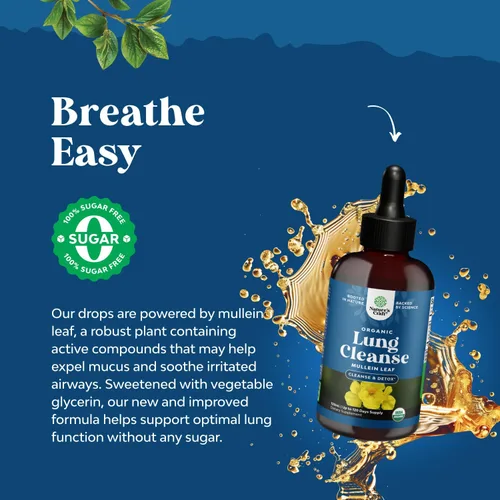 Vista 4 de USDA - Gotas orgánicas de gordolobo para pulmones – Desintoxicación y limpieza de pulmón a base de hierbas con extracto de raíz de malvavisco y hoja