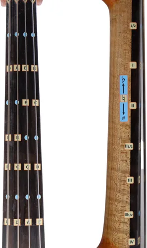 Vista 2 de Fantástica guía de dedos para violonchelos, accesorios de música para instrumentos de cuerda, calcomanías para diapasón y diapasón para aprender