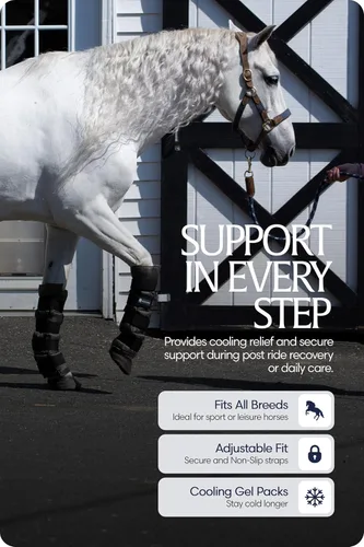 Vista 4 de Equinavia Cool Relief Therapy - Par de botas de hielo para caballos, paquete de gel con correas ajustables, 16.5 x 15.5 pulgadas, con bolsa de Negro