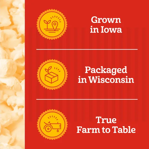 Vista 5 de Franklin's Gourmet Popcorn Paquetes premedidos todo en uno, 8 onzas, paquete de 10 unidades, aceite de coco con sabor a mantequilla + sal