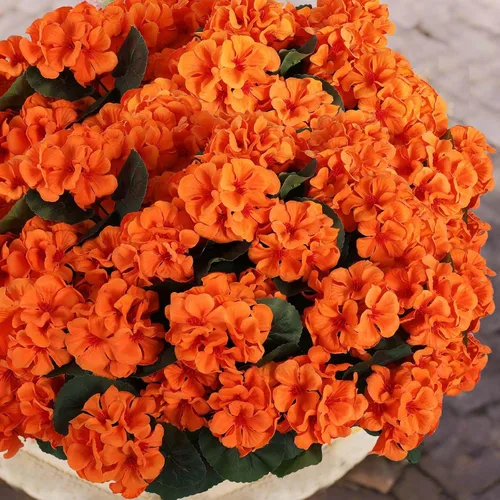 Vista 7 de Hananona 6 piezas de flores artificiales de geranio para exteriores, geranio de seda naranja, flores de patio resistentes a los rayos UV, flores