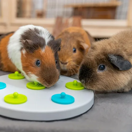 Vista 6 de Trixie juguete logístico, tablero de bocadillos para conejos, conejillos de indias, y otras mascotas pequeñas