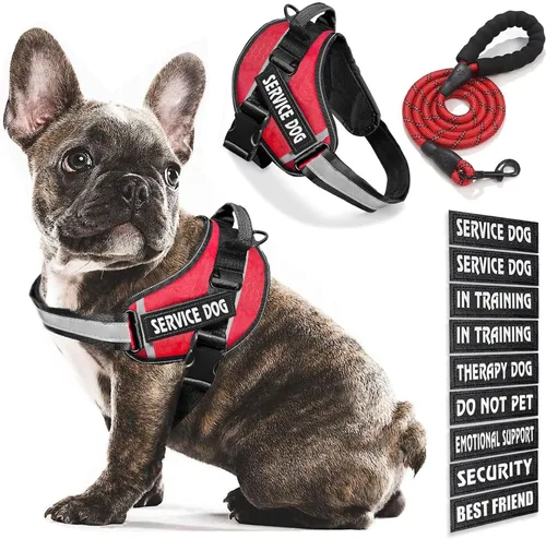Vista 13 de Chaleco para Perro de Servicio, 9 Parches Arnés para Perro sin Tirones y Correa con Asa, Chaleco para Mascota Fácil de Poner y Quitar con Correas