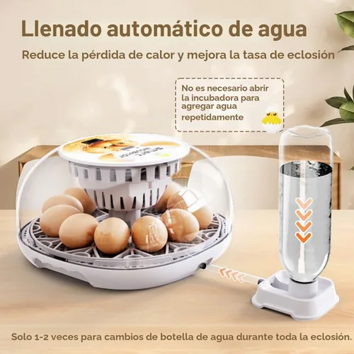 Vista 4 de Incubadoras para huevos para incubar huevos, 12 huevos con giro automático de huevos y control de humedad, visualización de 360° para pollo, patos
