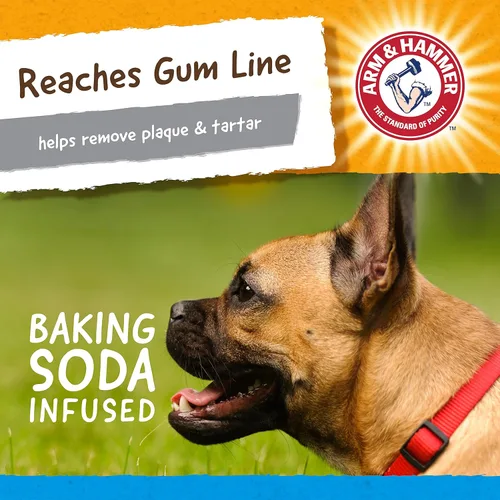 Vista 5 de Arm & Hammer Juguetes dentales para mascotas Nubbies Gator Dental Chew Toy para perros El mejor juguete masticable para perros para masticadores