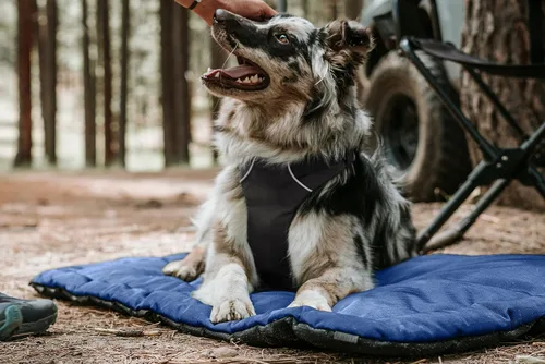 Vista 5 de K9 Ballistics Almohadilla resistente antidesgarros para jaula de perro, duradera, lavable, no se desliza, se adapta a jaulas medianas de 35 x 23