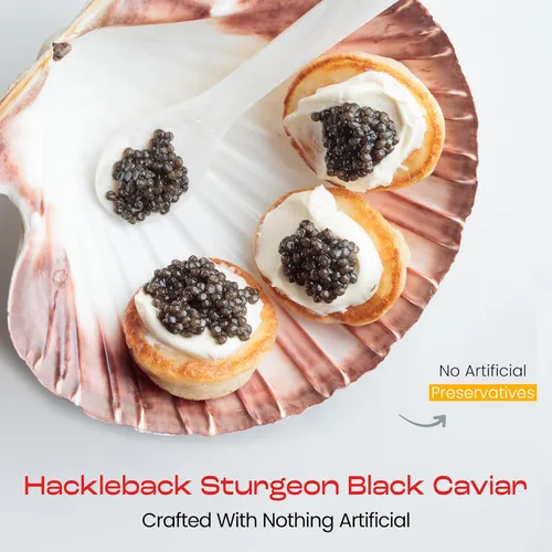 Vista 2 de Envío nocturno – Olma American Hackleback Sturgeon Black Caviar – Perlas de grano medio, grado superior, 1 oz / 28 g