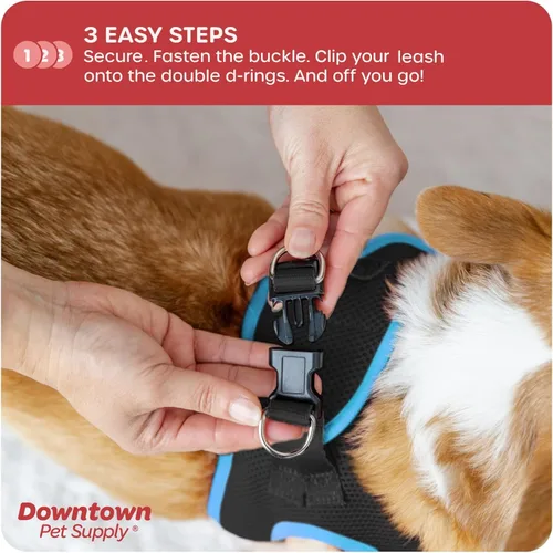 Vista 5 de Downtown Pet Supply Arnés para perros pequeños, sin tirones, talla XS, negro con ribete azul cobalto, arnés ajustable con tela de malla acolchada