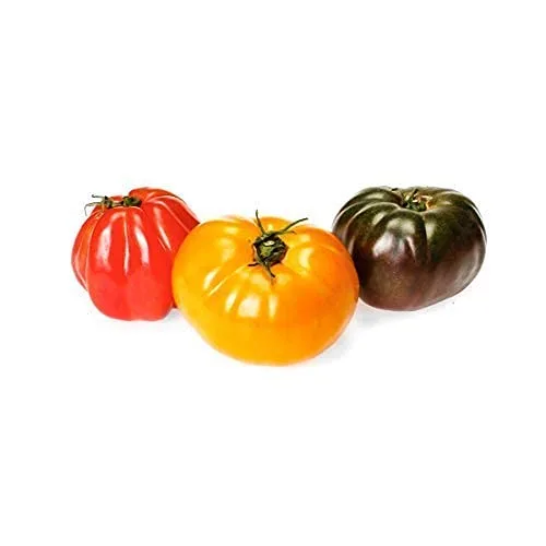 Tomate orgánico heirloom