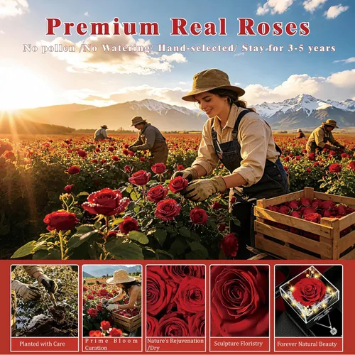 Vista 6 de Rosa preservada real a multicolor y collar con frase “te amo”, flores eternas, regalo de cumpleaños para mujer, mamá, esposa, novia, abuela, en San