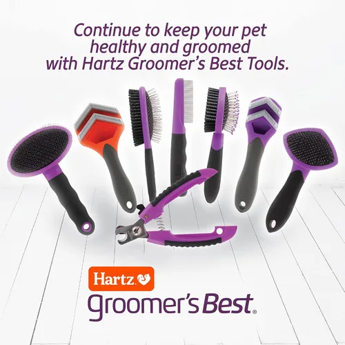 Vista 7 de Hartz Suministros de aseo, el mejor cepillo combinado para perros y profesionales, paquete de champú para perros 6 en 1 y cepillo combinado, bueno