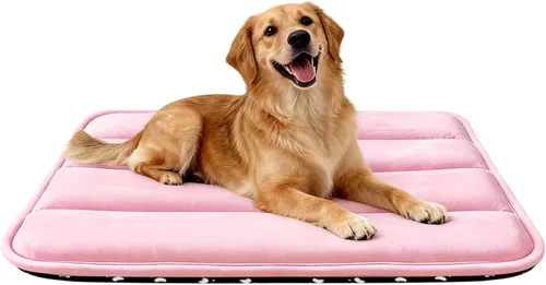 Vista 54 de Tapete cama para perro, almohadilla reversible para jaula y linda cama para perros - Alfombrilla lavable a máquina para perrera con ultra suave