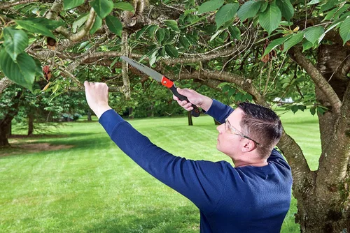 Vista 11 de CRAFTSMAN Sierra plegable de mano, hoja de 8 pulgadas, diseño compacto, para acampar, podar, cortar madera, ramas o maleza