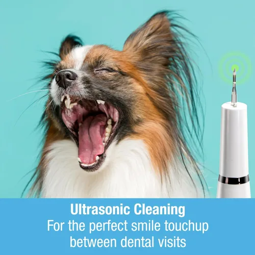 Vista 2 de Tilcare Kit de limpieza ultrasónica de dientes de perro con luz LED, herramienta de limpieza de dientes de gato con 3 modos de limpieza, 4 cabezales