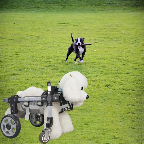 Vista 7 de Dog Wheelchair for Back Legs, Pet Wheelchairs with Disabled Hind Legs Walking, Mobility Aids for Small Medium Pets Hind Limbs, Dogs Carts with 2