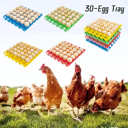 Vista 5 de Paquete de 4 bandejas de huevos de plástico para huevos de 30 huevos para granjeros caseros, cajas apilables para huevos con capacidad