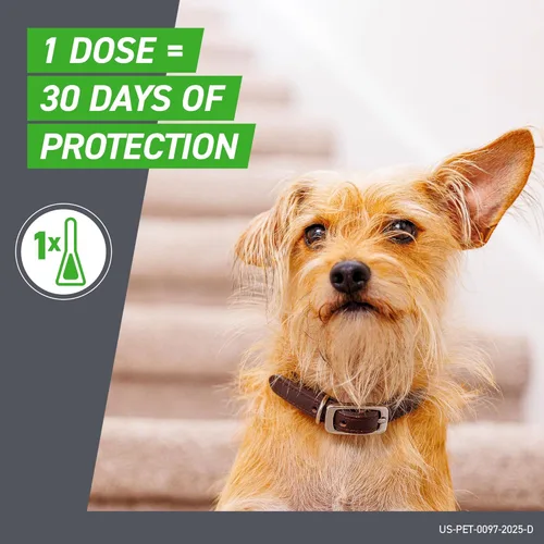 Vista 5 de Pipeta Frontline Plus para control de pulgas y garrapatas, para perros y cachorros de 8 semanas o más y de 5 a 22 libras, 6 dosis
