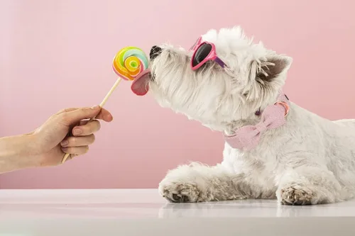 Vista 5 de ARING PET Collar de perro Bowtie - Collar de perro rosa de algodón con lazo, collares de perro para niñas, collares para mascotas, regalos