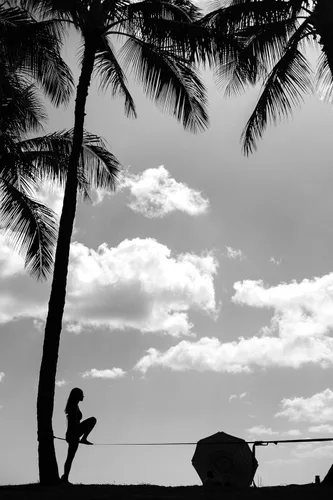 Vista 4 de ZenMonkey Infinity Slackline Kit – 100 pies de largo con trinquete Ergo, protectores de árboles, bolsa de transporte de tela e instrucciones