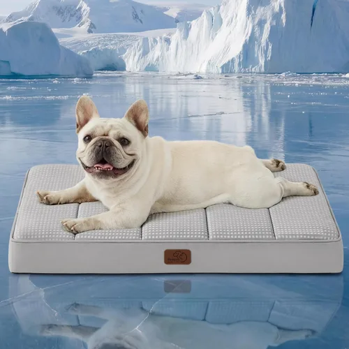 Vista 37 de Bedsure Camas para Perros Pequeños – Camas Planas XS Cómodas para Cachorros con Funda Extraíble Lavable, Colchoneta de Espuma Ortopédica Tipo Cartón
