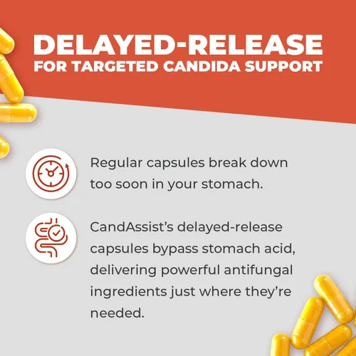 Vista 9 de Balance ONE Paquete de apoyo intestinal e inmunológico de 2 meses - Probiótico, CandAssist y SerraDefend - 15 mil millones de UFC probiótico