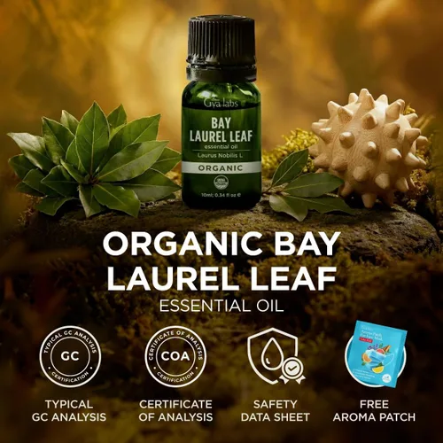 Vista 8 de Gya Labs Aceite esencial de hoja de laurel orgánico, 0.34 onzas líquidas, para piel, cabello, difusor, aromaterapia, aromas para hacer velas