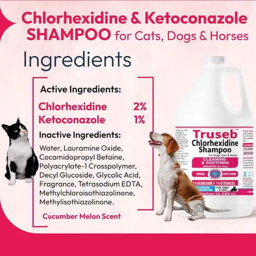 Vista 2 de Truseb - Champú tópico de ketoconazol y clorhexidina para perros, gatos y caballos agradablemente perfumado con un aroma a melón de pepino con aloe