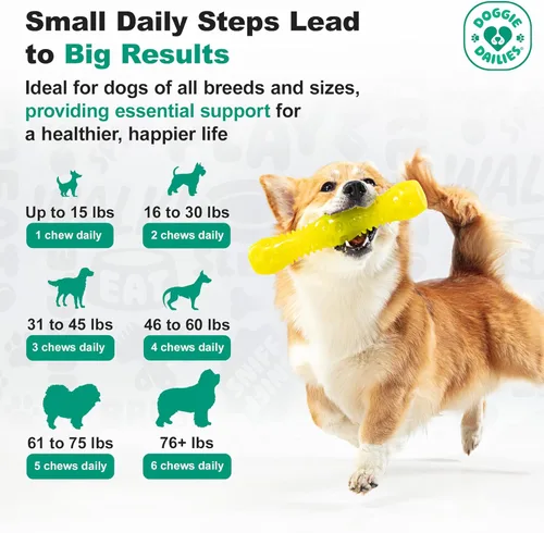 Vista 3 de Suplemento de cadera y articulación para perros de edad avanzada, totalmente natural, 225 tabletas masticables blandas, glucosamina, condroitina