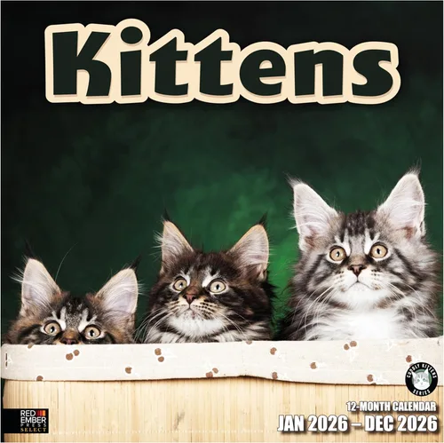 RED EMBER Select - Calendario de pared de gatitos 2026 de 12 meses | 12 x 24 pulgadas abierto | papel grueso y resistente | regalo de vacaciones |