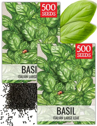 Vista 15 de Seed Needs Sweet Genovese - Semillas de albahaca para plantar, semillas de hierbas culinarias sin OMG y sin tratar para plantar un jardín de cocina