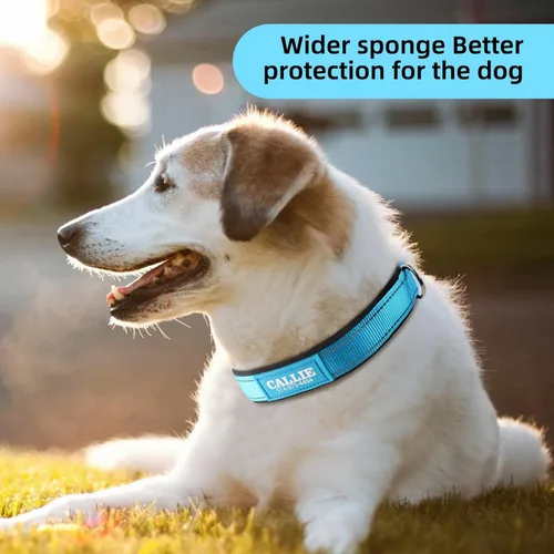 Vista 7 de Collar de perro personalizado con nombre y número de teléfono, hebilla duradera, acolchado de neopreno suave ultra ancho, collar reflectante