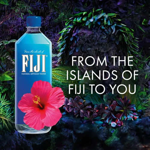 Vista 6 de FIJI Agua embotellada artesanal natural de 1 litro / 33.8 onzas líquidas (paquete de 6)