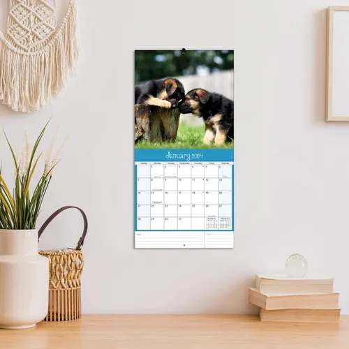 Vista 6 de Turner - Mini calendario fotográfico de pared de cachorros juguetones (24998950017)