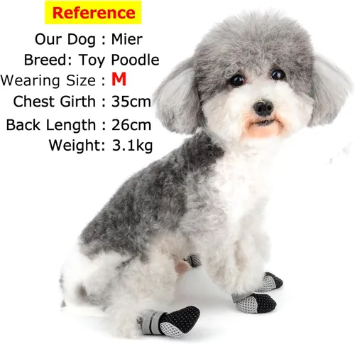 Vista 3 de Zunea Botas para perros para pavimento caliente, transpirables, de malla suave, protectores de patas, zapatos para cachorros pequeños con correa