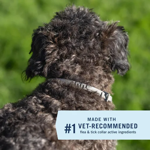 Vista 3 de PetArmor Extender el collar de tratamiento y prevención de pulgas y garrapatas para perros pequeños de hasta 18 libras, 8 meses de protección