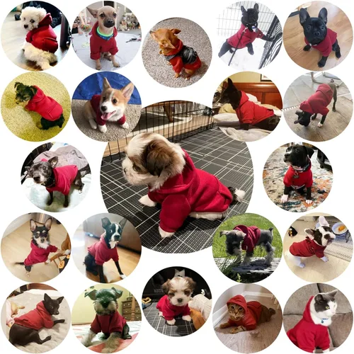 Vista 4 de Jecikelon Sudadera con capucha para perro de invierno con bolsillos, ropa cálida para perros pequeños, abrigo de chihuahua, ropa de cachorro y gato