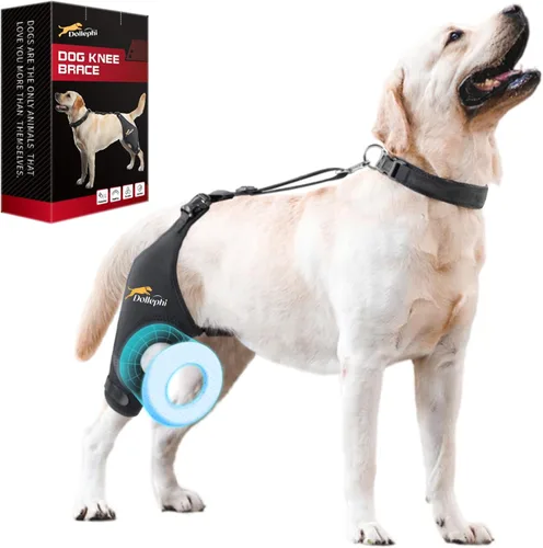 Vista 14 de Rodillera para Perro Dollephi para Pierna Trasera Desgarrada ACL, Compresa Caliente/Fría para Luxación de Rótula u Osteoartritis, Lesiones