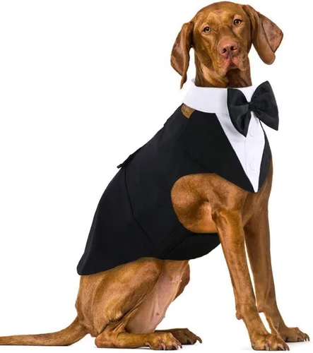 Vista 20 de IDOMIK Esmoquin para perro pequeño, mediano y grande, traje de boda formal para perro desmontable con chaleco de esmoquin, corbatín, collar