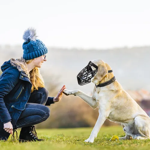 Vista 5 de TEHAUX Bozal para perro, 7 tamaños de bozales de malla suave para perros pequeños, medianos y grandes, cubierta de canasta, cubierta de la boca