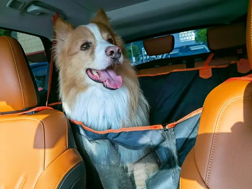 Vista 6 de FAN WU Funda de asiento de automóvil para perros con alfombrilla de olfateo – Alivio de la ansiedad y protección impermeable para perros, hamaca