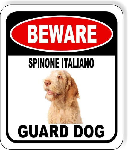 Vista 85 de BEWARE BASSETT HOUND GUARD DOG - Letrero compuesto de aluminio para exteriores, 8.5 x 10 pulgadas