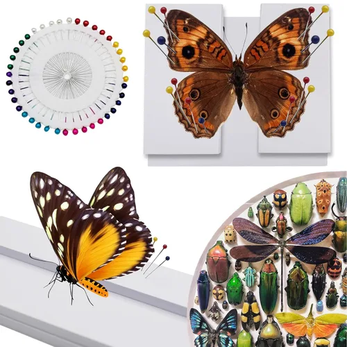 Vista 4 de Saihisday Tablero de fijación de insectos, placas de espécimen de insectos EVA, tablero de extensión de montaje de mariposa, kit de herramientas