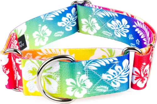 Vista 9 de Country Brook Petz - Collar para perro Martingala Anchors Away - Colección Summer Breeze con diseños soleados (1 1/2 pulgadas, mediano)