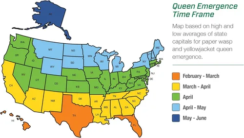 Vista 7 de RESCUE! Yellowjacket Attractant - para trampas reutilizables para chaqueta amarilla RESCUE! - Suministro para 4 semanas - Paquete de 20