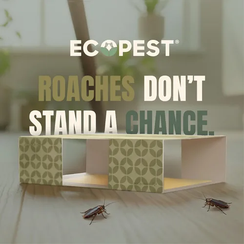 Vista 3 de Trampa para cucarachas – Paquete de 12 Trampas adhesivas de pegamento para interiores para cucarachas y otros insectos e insectos rastreros