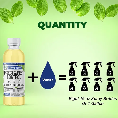 Vista 3 de Mighty Mint Concentrado repelente de insectos de aceite de menta – Control natural de insectos en interiores y exteriores para arañas, hormigas