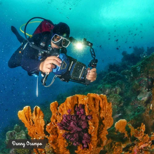 Vista 6 de DIVEVOLK Funda de teléfono de buceo compatible con iPhone 12/12 Pro/12 Pro Max/13/13 Pro/13 Pro Max/14/14 Pro/14 Pro Max/15/15 Pro/15 Pro Max