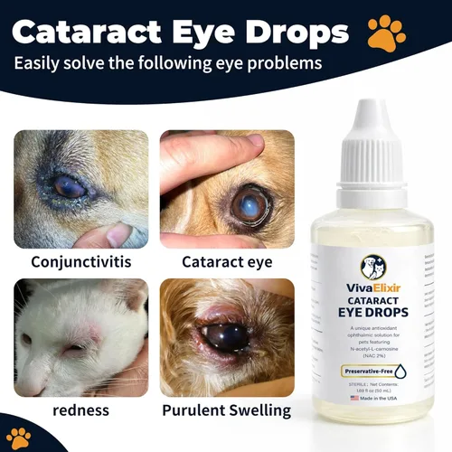 Vista 4 de Gotas para los ojos de perro, gotas oculares de catarata para perros, cuidado diario de los ojos para la humedad, comodidad y limpieza, soporte