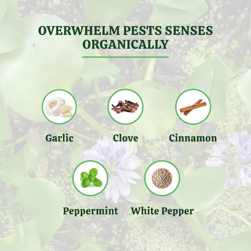 Vista 6 de Pride Lands Defense - Control orgánico de plagas para plantas de interior y exterior/repelente de insectos/elimina ácaros, mosquitos, trips